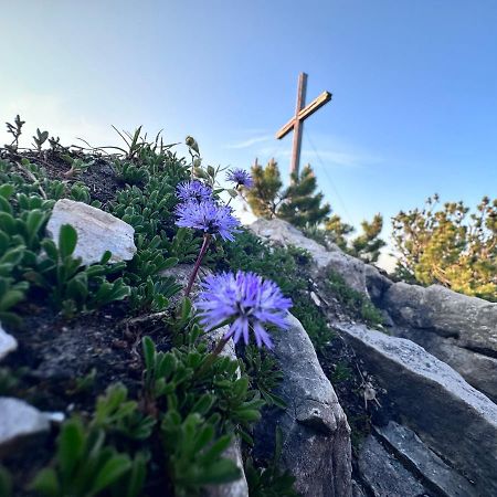 Ferienwohnung Gasser Hahnenkamm Blick 罗伊特 外观 照片